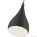 Livex Lighting - 41171-14 - One Light Mini Pendant - Amador - Textured Black with Antique Brass