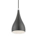 Livex Lighting - 41171-96 - One Light Mini Pendant - Amador - Shiny Dark Gray with Polished Chrome