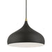 Livex Lighting - 41172-14 - One Light Pendant - Amador - Textured Black with Antique Brass