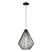Livex Lighting - 41325-68 - One Light Pendant - Linz - Shiny Black with Polished Brass