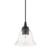 Livex Lighting - 46480-04 - One Light Pendant - Moreland - Black