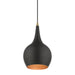 Livex Lighting - 49016-04 - One Light Mini Pendant - Andes - Black with Antique Brass
