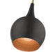Livex Lighting - 49016-04 - One Light Mini Pendant - Andes - Black with Antique Brass