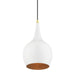 Livex Lighting - 49016-69 - One Light Mini Pendant - Andes - Shiny White with Polished Brass