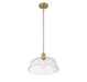 Meridian - M7023NB - One Light Pendant - Natural Brass