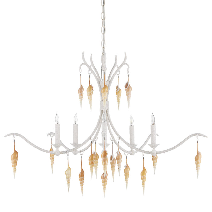 Currey and Company - 9000-0988 - Five Light Chandelier - Crushed Shell/Natural/Vanilla