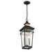 Savoy House - 5-717-143 - Two Light Outdoor Hanging Lantern - Kingsley - Matte Black with Warm Brass