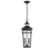 Savoy House - 5-717-143 - Two Light Outdoor Hanging Lantern - Kingsley - Matte Black with Warm Brass