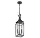 Savoy House - 5-763-BK - Three Light Outdoor Hanging Lantern - Montpelier - Matte Black