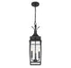 Savoy House - 5-763-BK - Three Light Outdoor Hanging Lantern - Montpelier - Matte Black