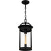 Quoizel - CLI1909EK - One Light Outdoor Hanging Lantern - Clifton - Earth Black