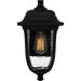 Quoizel - MUL8408MBK - One Light Outdoor Wall Mount - Mulberry - Matte Black