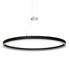 Meyda Tiffany - 253915 - LED Pendant - Anillo Apollonia