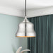 Livex Lighting - 55901-91 - One Light Pendant - Endicott - Brushed Nickel