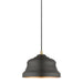 Livex Lighting - 55902-07 - One Light Pendant - Endicott - Bronze with Antique Brass