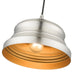 Livex Lighting - 55902-91 - One Light Pendant - Endicott - Brushed Nickel